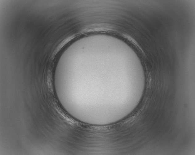 X0000051910874200506241100