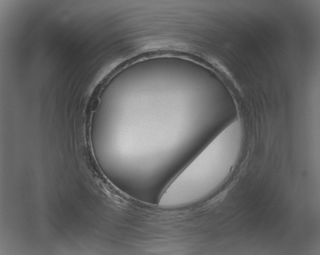X0000051910877200506241100