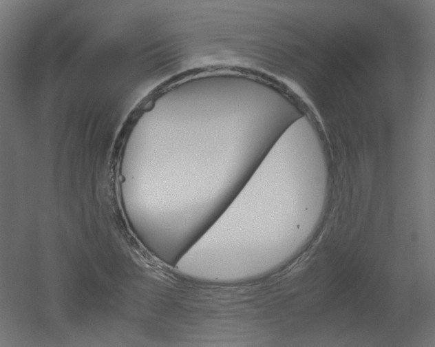 X0000051910879200506241100