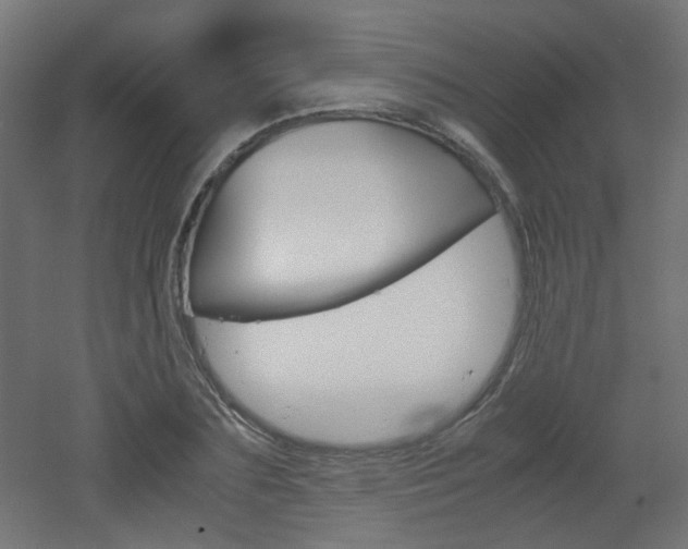 X0000051910883200506241100