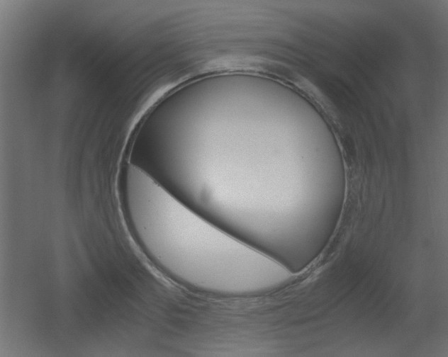 X0000051910893200506241100