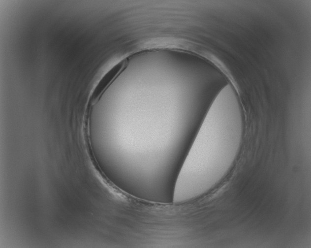 X0000051910901200506241100