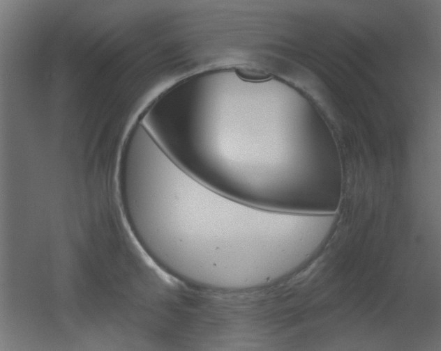 X0000051910902200506241100