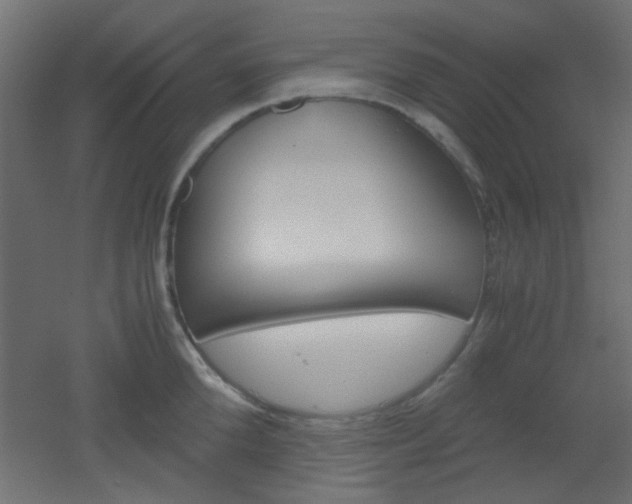 X0000051910904200506241100