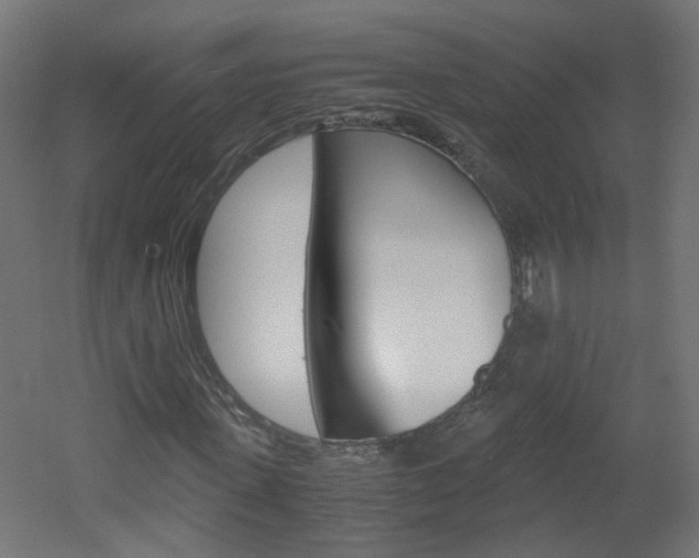 X0000051910915200506241059