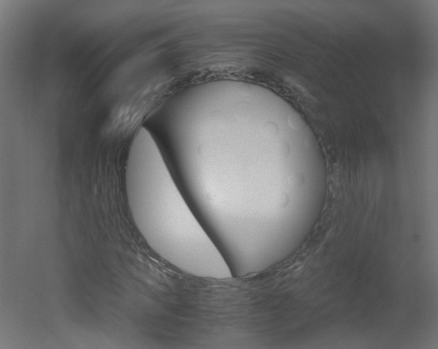 X0000051910917200506241059