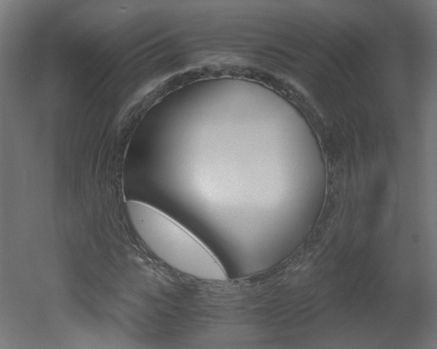 X0000051910919200506241059