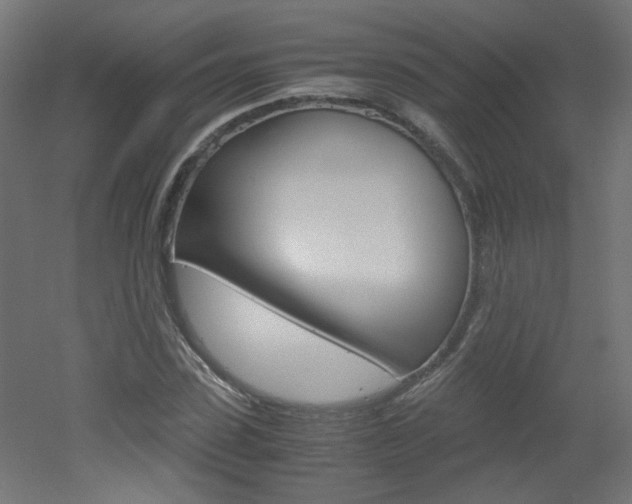 X0000051910923200506241059