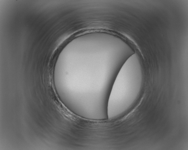 X0000051910925200506241059