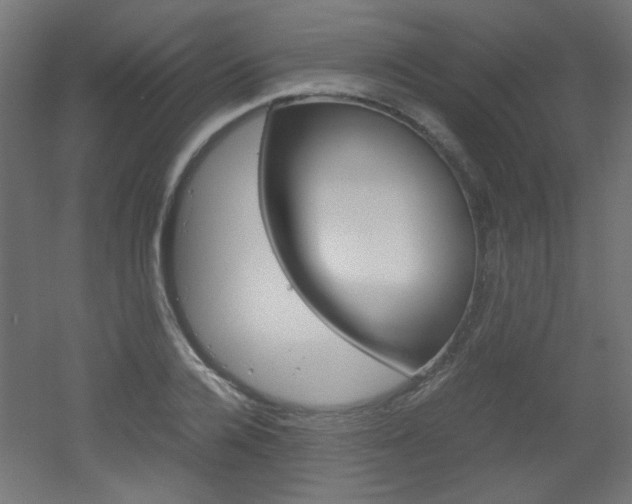 X0000051910936200506241059