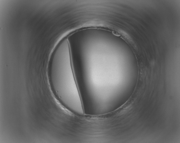 X0000051910942200506241059