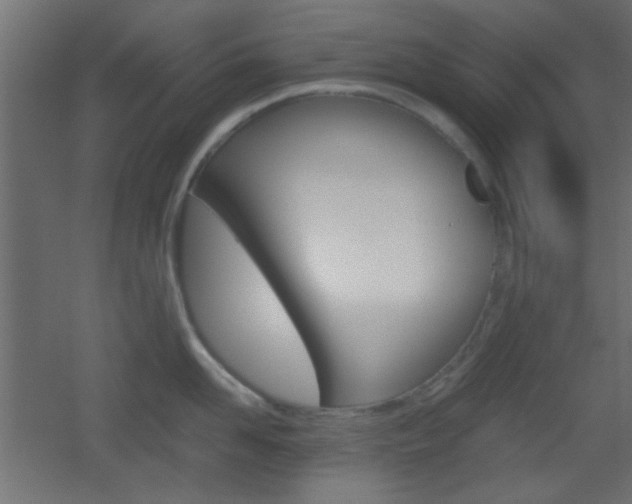 X0000051910958200506241100