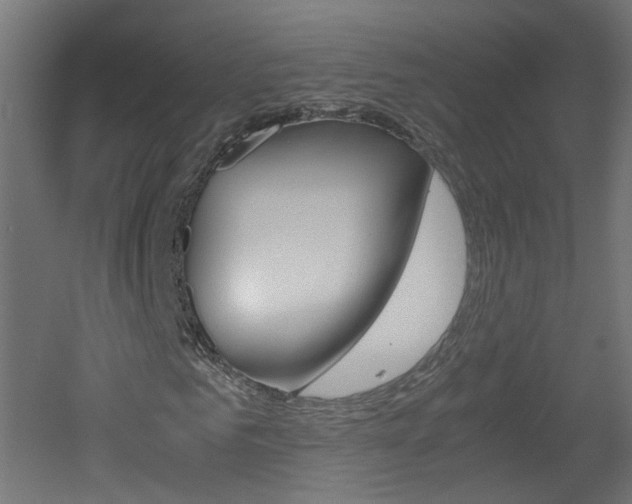X0000051910961200506241059