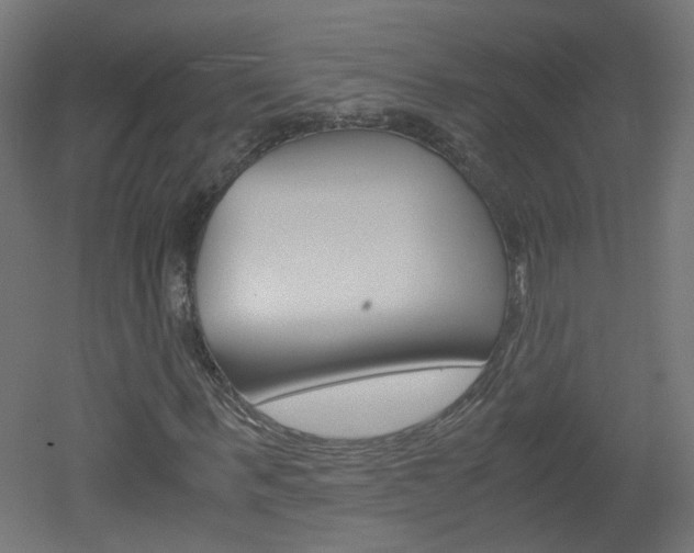 X0000051910963200506241059
