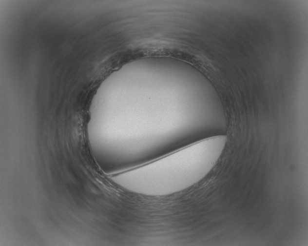 X0000051910964200506241059