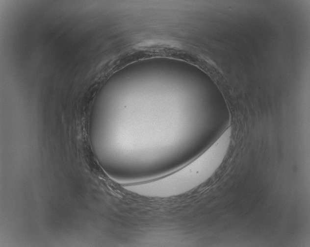 X0000051910965200506241059