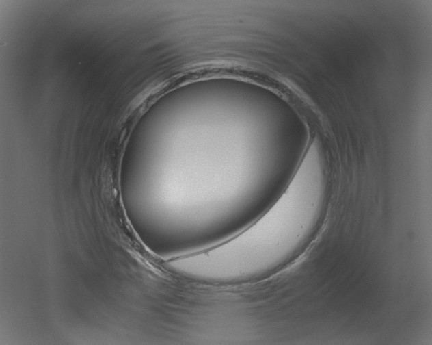 X0000051910969200506241059