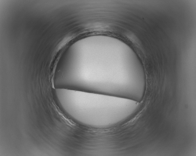 X0000051910970200506241059