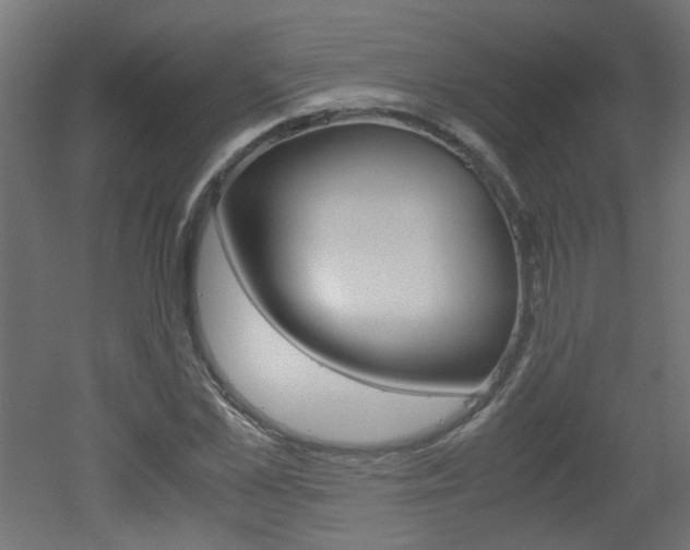 X0000051910973200506241059