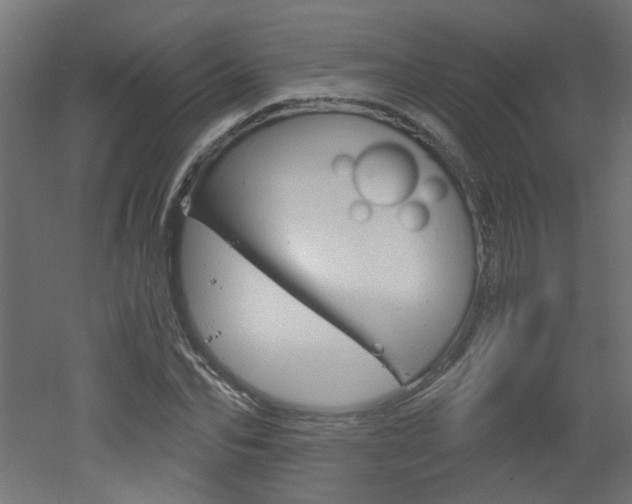 X0000051910974200506241059