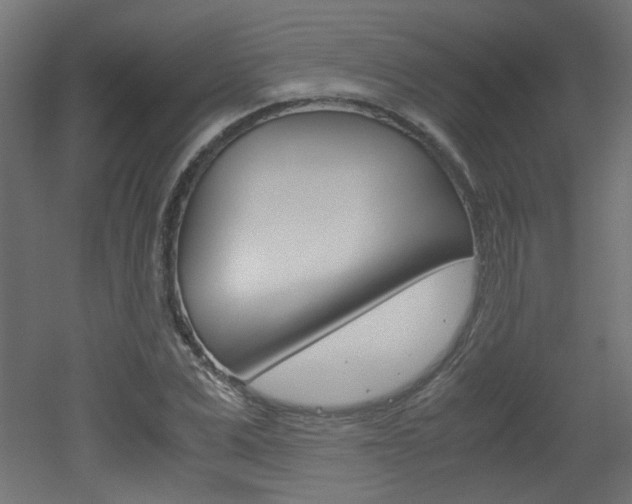 X0000051910975200506241059