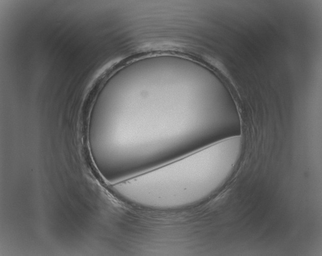 X0000051910979200506241059
