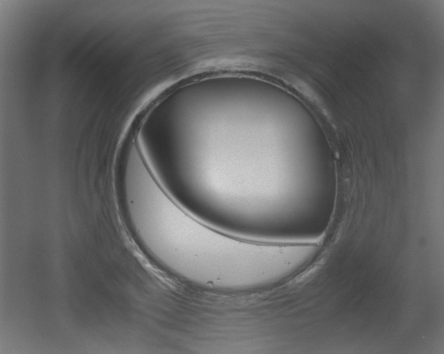X0000051910981200506241059