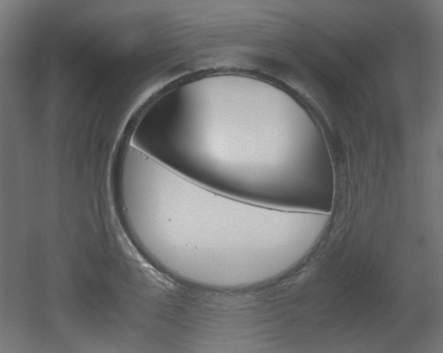 X0000051910983200506241058