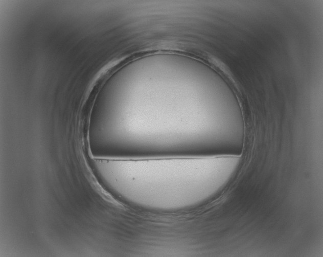 X0000051910987200506241058