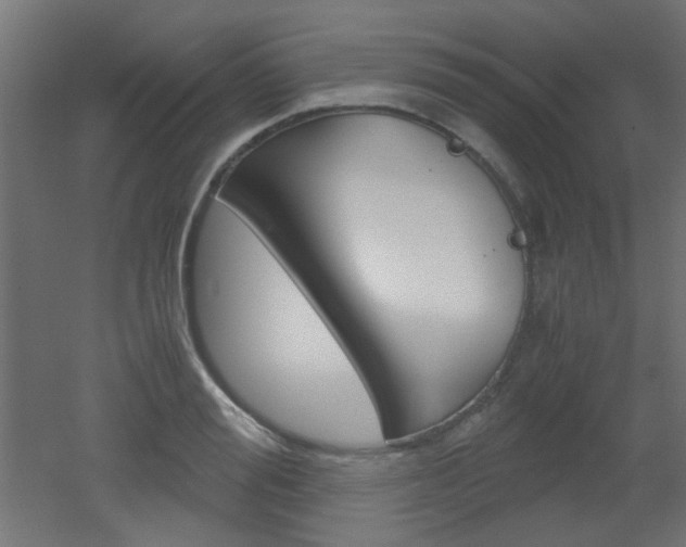 X0000051910988200506241058