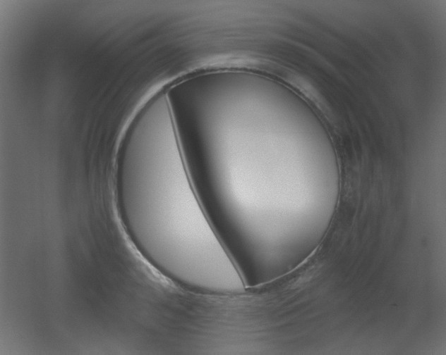 X0000051910992200506241058