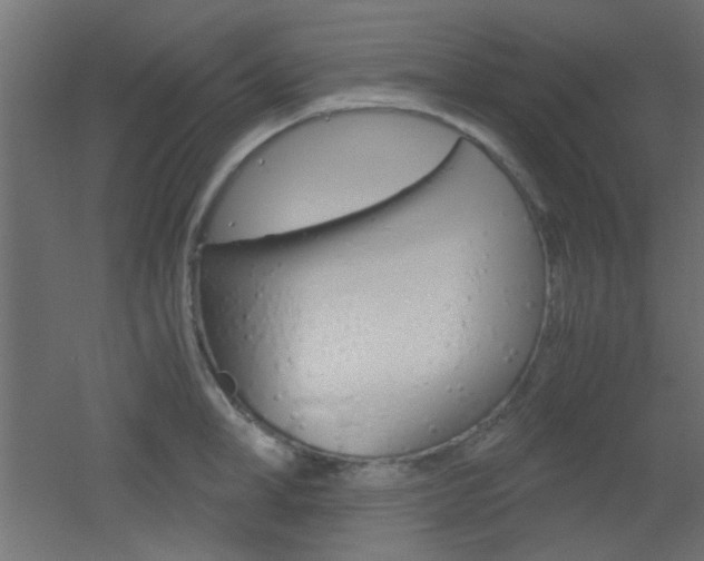 X0000051910998200506241058