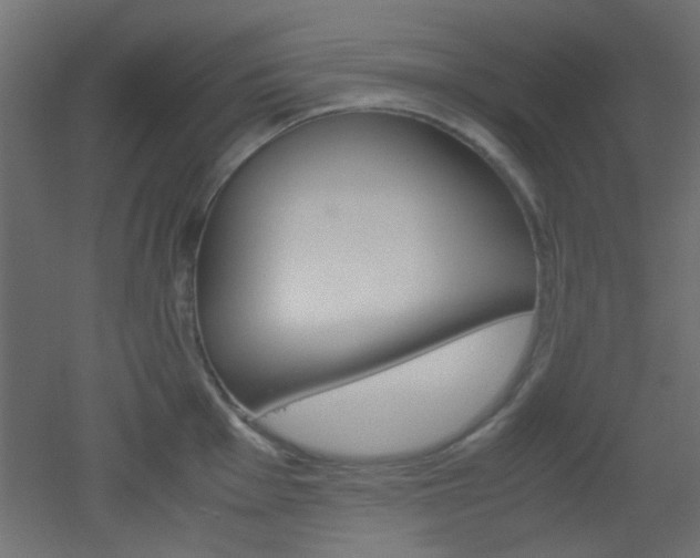 X0000051911001200506241058