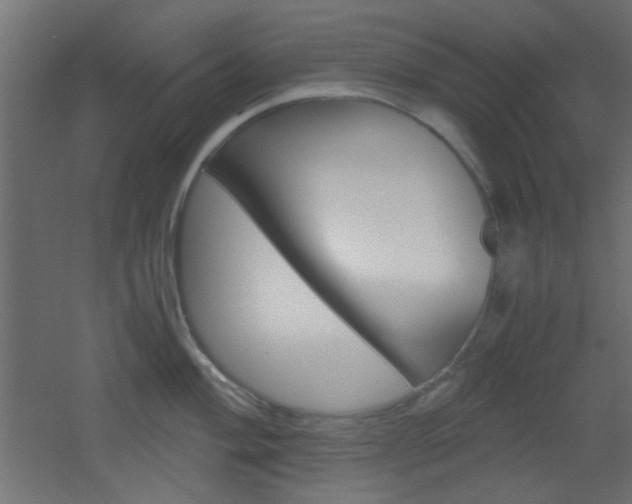 X0000051911004200506241058