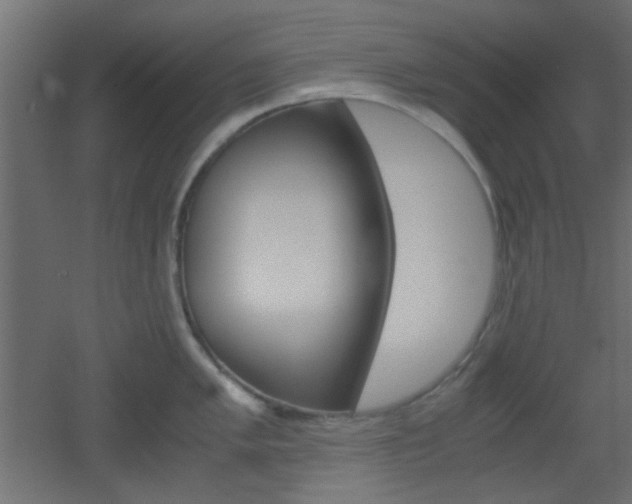 X0000051911005200506241058