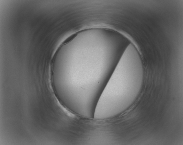X0000051911006200506241058