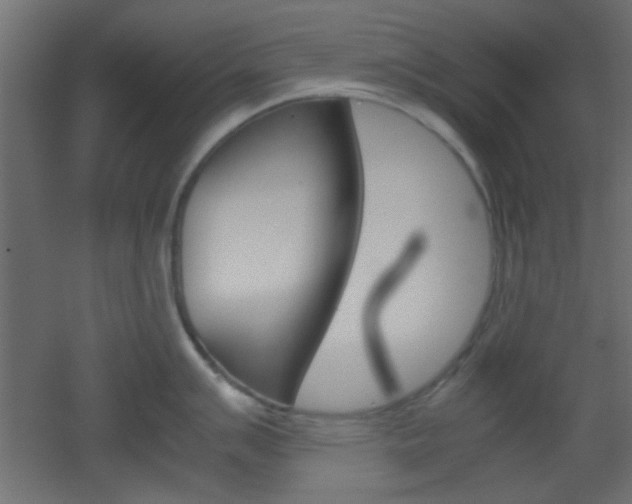X0000051911007200506241058