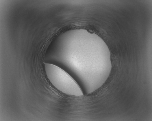 X0000051911009200506241057