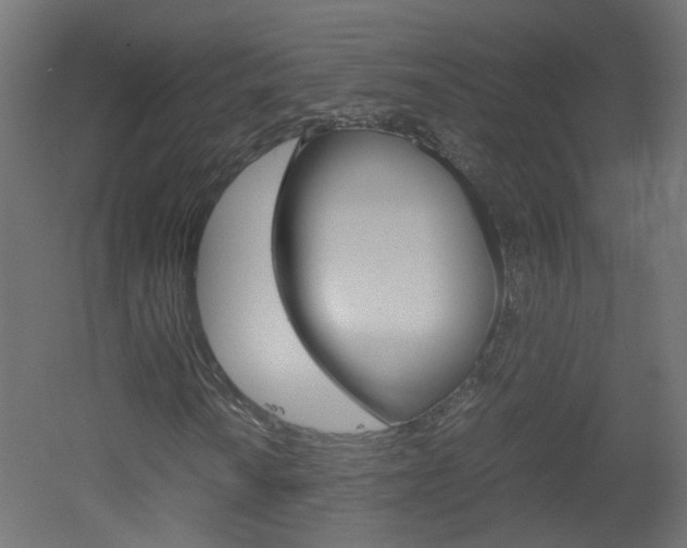 X0000051911010200506241057