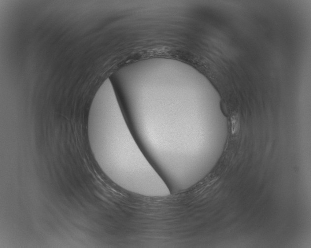X0000051911011200506241057