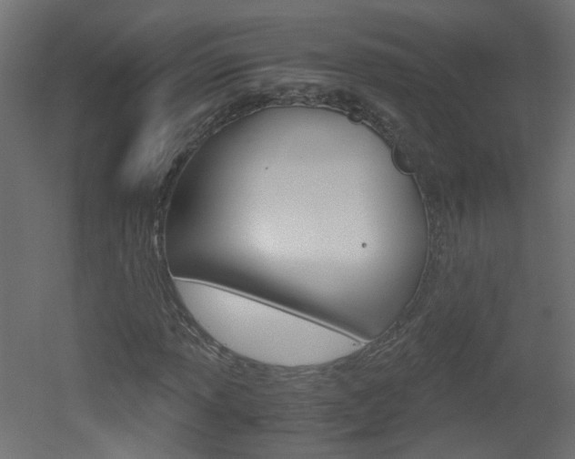 X0000051911013200506241057
