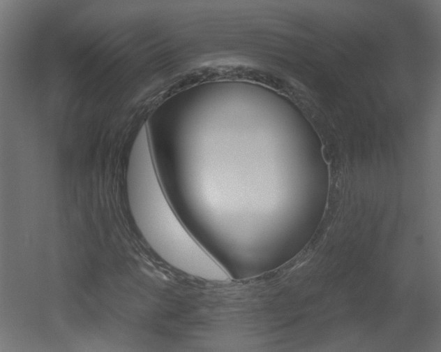 X0000051911014200506241057