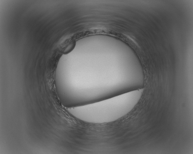 X0000051911015200506241057