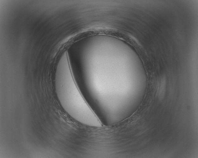 X0000051911016200506241057
