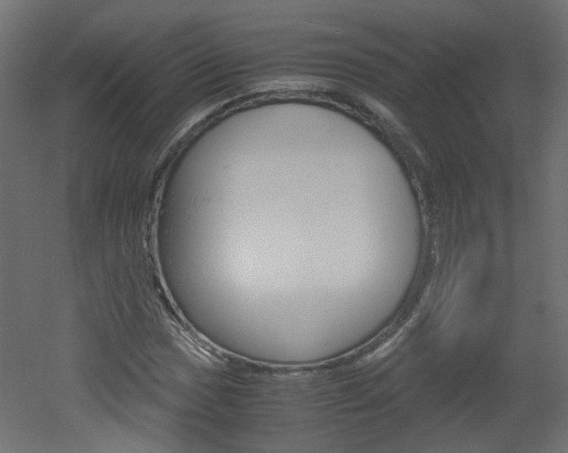 X0000051911017200506241057