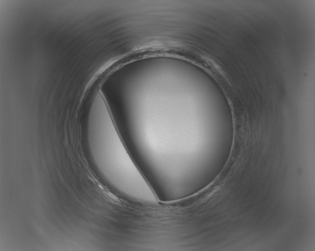 X0000051911018200506241057