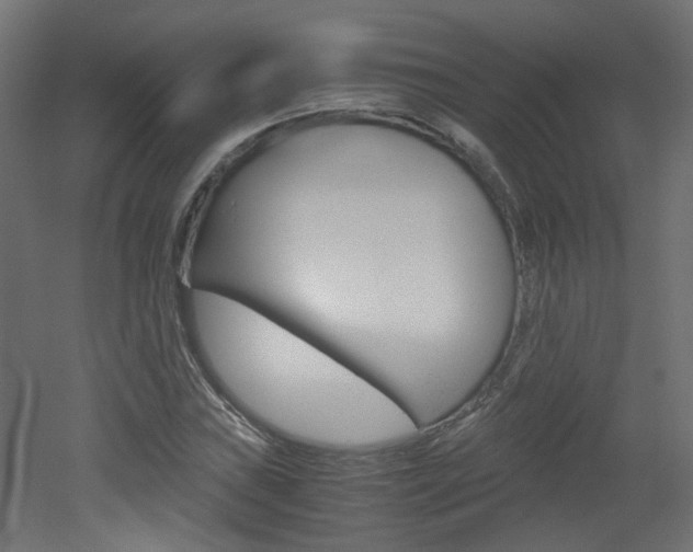 X0000051911019200506241057