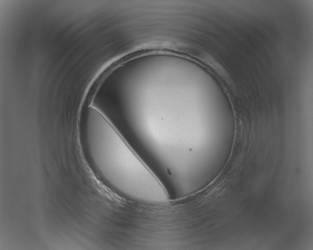 X0000051911020200506241057
