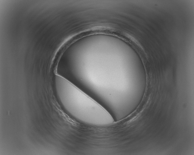 X0000051911021200506241057