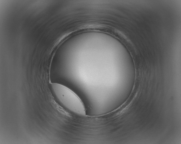 X0000051911025200506241058